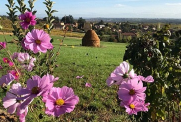 Jardins